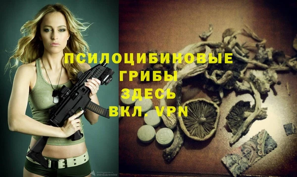 каннабис Верея