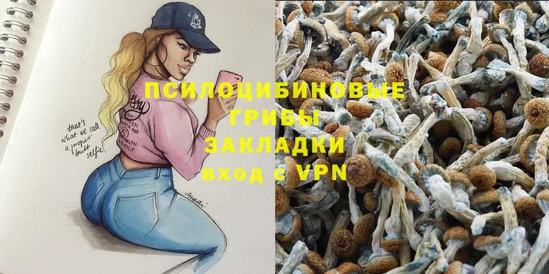 Галлюциногенные грибы Psilocybe  Зеленодольск 